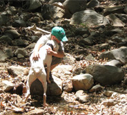 Dog and Boy at Arizona Doggy Dude Ranch