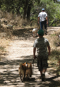 On the Trail