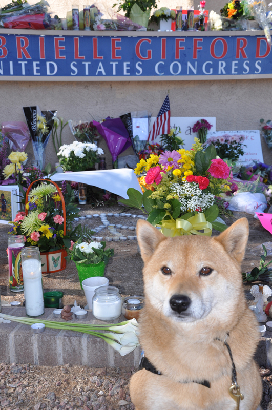 Rusty at Gabrielle Giffords office memorial. Photo by Dyan Bone
