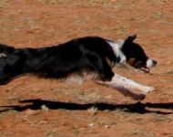 pip-full-extension